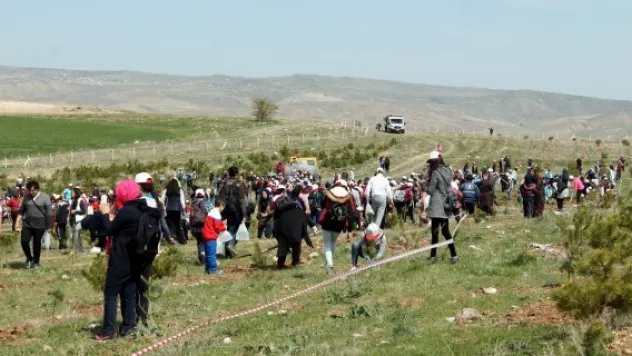 20 bin kişi katıldı, 10 bin fidan dikildi