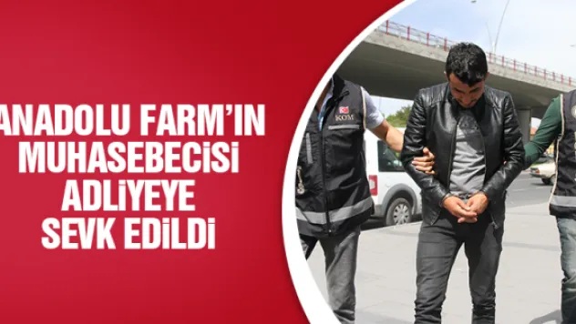 ANADOLU FARM'IN MUHASEBECiSi ADLiYEYE SEVK EDiLDi