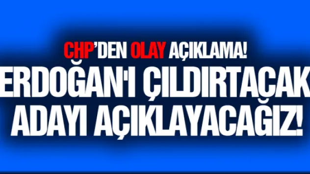 CHP'li Özel: Erdoğan'ı çıldırtacak adayı açıklayacağız!
