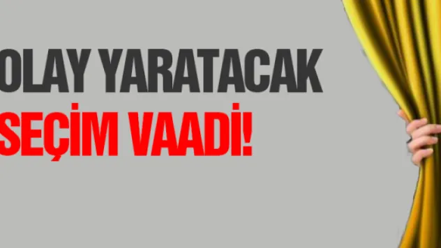 İYİ Parti'den ilginç seçim vaadi!