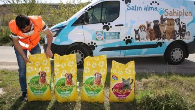 Melikgazi'den sokak hayvanlarına beslenme desteği 