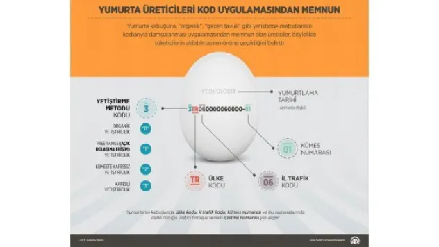 Yumurta üreticileri kod uygulamasından memnun