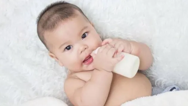 Doğum İstatistikleri, 2017