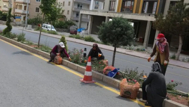 İş-Kur çalışanları iş başı yaptı