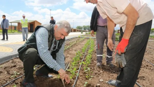 Organik bahçe sezonu açıldı