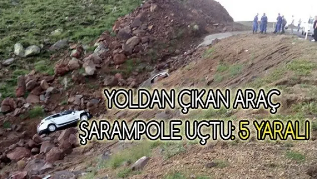 Yoldan çıkan araç şarampole uçtu: 5 yaralı