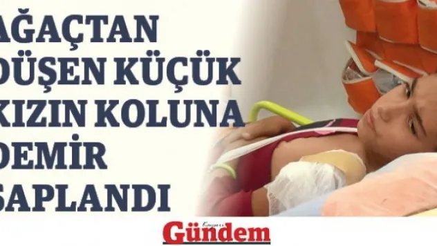 Ağaçtan düşen küçük kızın koluna demir saplandı