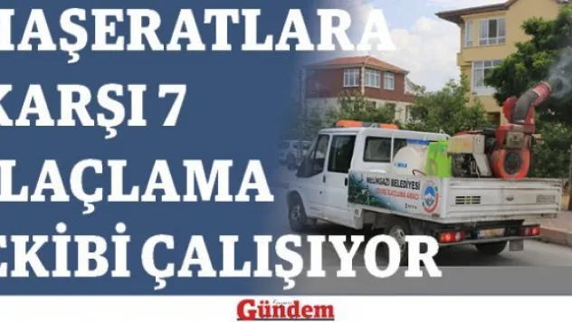 Haşeratlara karşı 7 ilaçlama ekibi çalışıyor