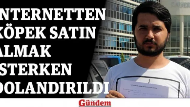 İnternetten köpek satın almak isterken dolandırıldı