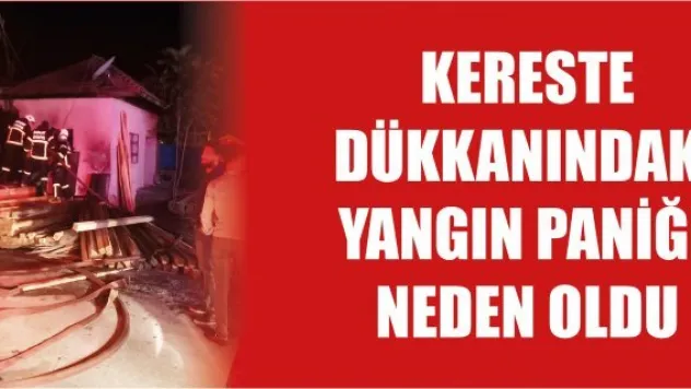 Kereste dükkanındaki yangın paniğe neden oldu