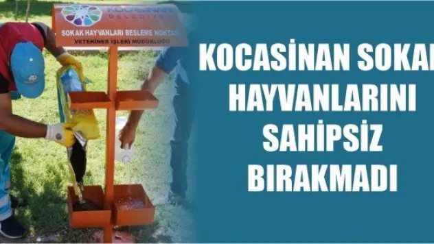 Kocasinan sokak hayvanlarını sahipsiz bırakmadı