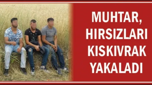 Muhtar, hırsızları kıskıvrak yakaladı