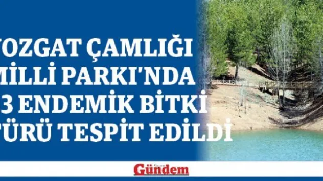 Yozgat Çamlığı Milli Parkı'nda 43 endemik bitki türü tespit edildi