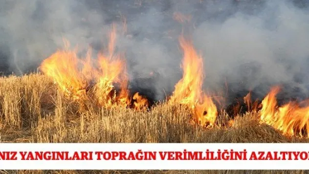 Anız yangınları toprağın verimliliğini azaltıyor