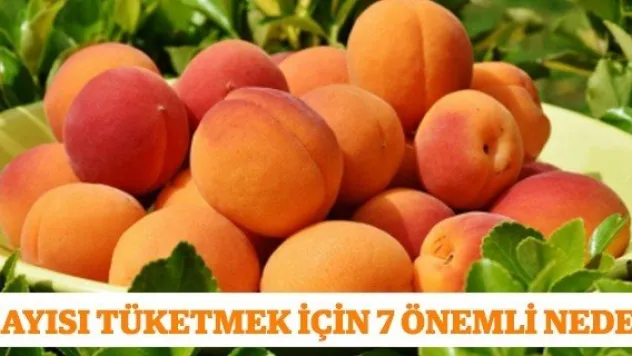 KAYISI TÜKETMEK İÇİN 7 ÖNEMLİ NEDEN