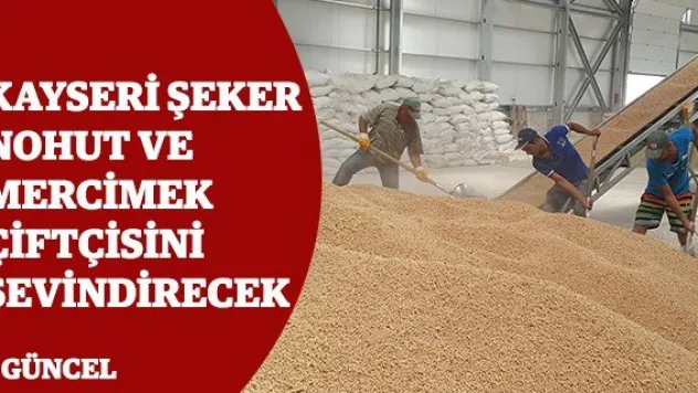 Kayseri Şeker nohut ve mercimek çiftçisini sevindirecek
