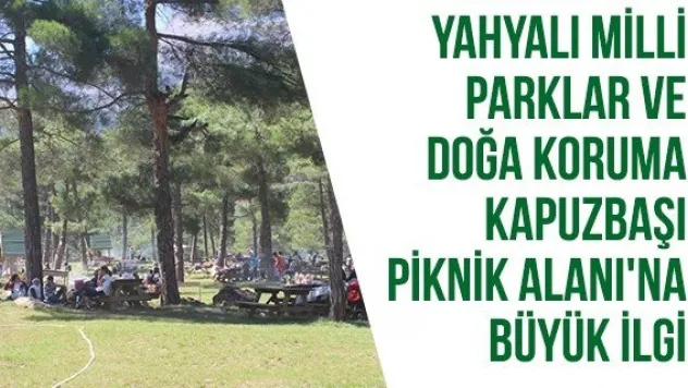 Yahyalı Milli Parklar ve Doğa Koruma Kapuzbaşı Piknik Alanı'na büyük ilgi