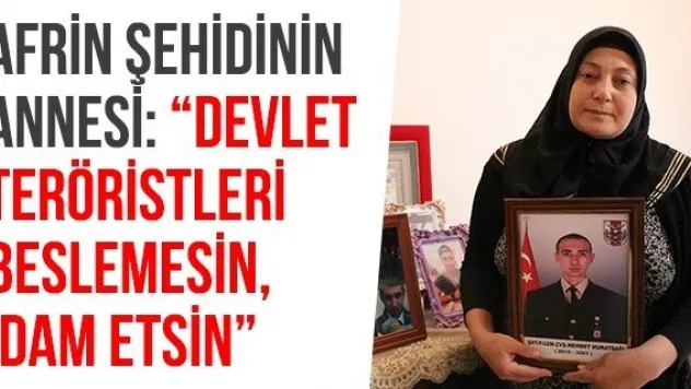 Afrin şehidinin annesi: 'Devlet teröristleri beslemesin, idam etsin'