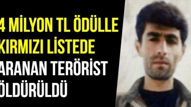 4 Milyon TL Ödülle Kırmızı Listede Aranan Terörist Öldürüldü