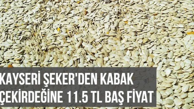 Kayseri Şeker'den Kabak Çekirdeğine 11.5 TL Baş Fiyat