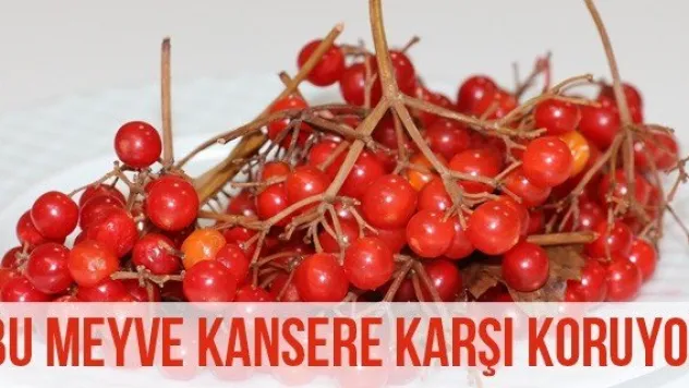 Bu Meyve Kansere Karşı Koruyor