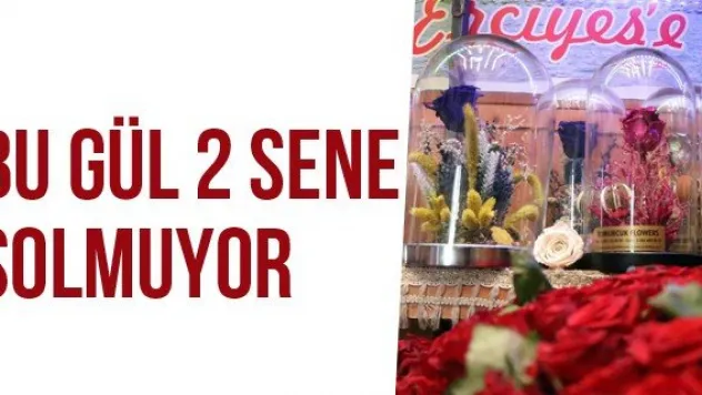 Bu Gül 2 Sene Solmuyor
