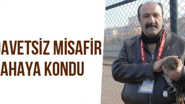 Davetsiz Misafir Sahaya Kondu