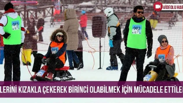 Eşlerini Kızakla Çekerek Birinci Olabilmek İçin Mücadele Ettiler