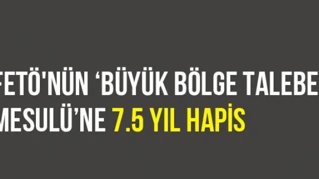 FETÖ'nün 'büyük bölge talebe mesulü'ne 7.5 yıl hapis