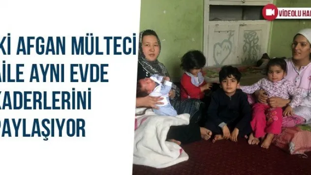 İki Afgan Mülteci Aile Aynı Evde Kaderlerini Paylaşıyor