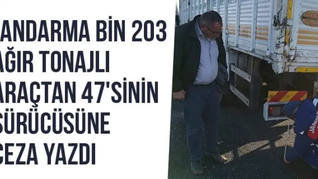 Jandarma Bin 203 Ağır Tonajlı Araçtan 47'sinin Sürücüsüne Ceza Yazdı