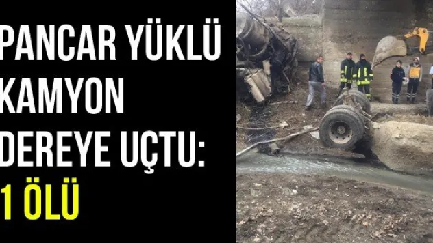 Pancar Yüklü Kamyon Dereye Uçtu: 1 Ölü