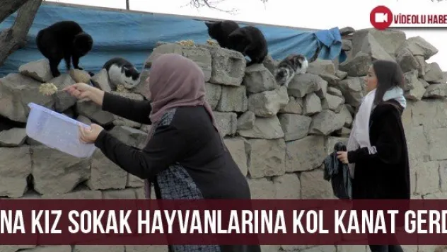 Ana kız sokak hayvanlarına kol kanat gerdi