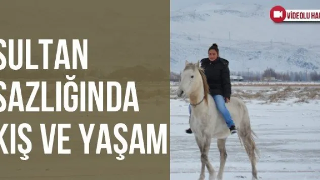 Sultan Sazlığında Kış Ve Yaşam