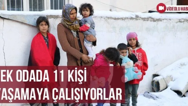 Tek Odada 11 Kişi Yaşamaya Çalışıyorlar