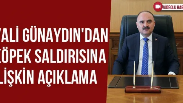 Vali Günaydın'dan Köpek Saldırısına İlişkin Açıklama