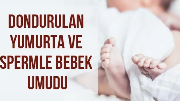 Dondurulan Yumurta Ve Spermle Bebek Umudu