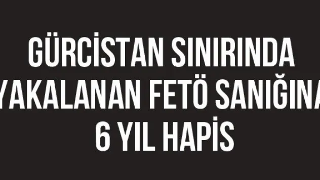 Gürcistan sınırında yakalanan FETÖ sanığına 6 yıl hapis