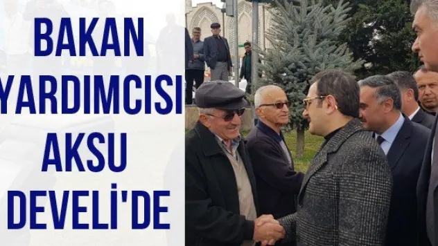 Bakan Yardımcısı Aksu Develi'de