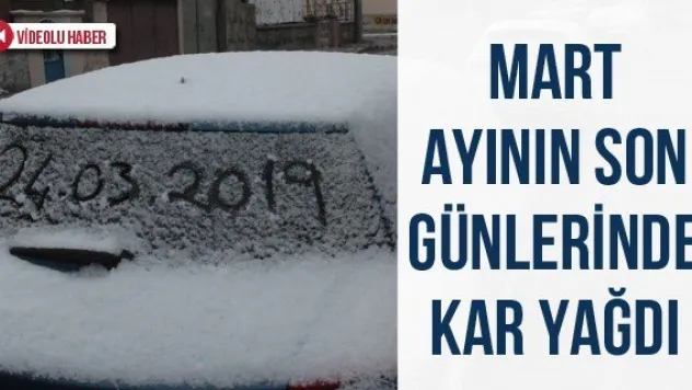 Mart ayının son günlerinde kar yağdı