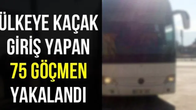 Ülkeye kaçak giriş yapan 75 göçmen yakalandı