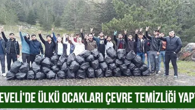 Develi'de ülkü ocakları çevre temizliği yaptı