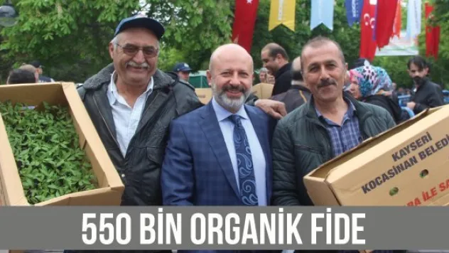 550 BİN ORGANİK FİDE