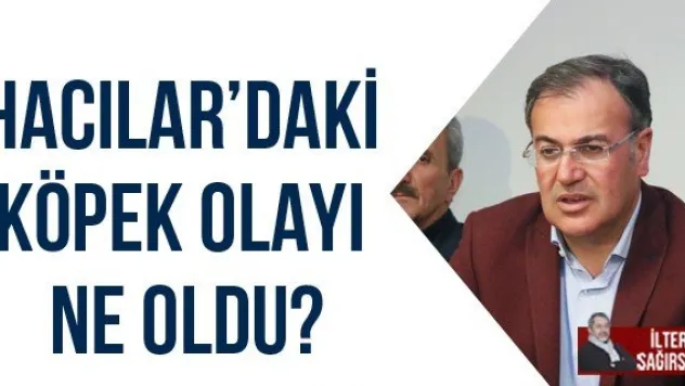 HACILAR'DAKİ KÖPEK OLAYI NE OLDU?