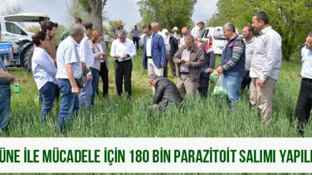 Süne ile mücadele için 180 bin parazitoit salımı yapıldı