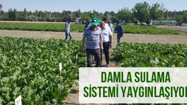 Damla sulama sistemi yaygınlaşıyor