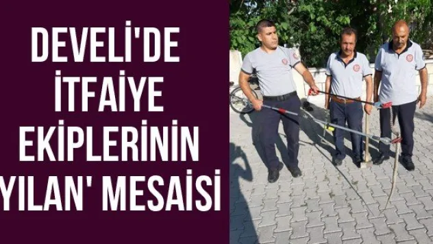 Develi'de itfaiye ekiplerinin 'Yılan' mesaisi