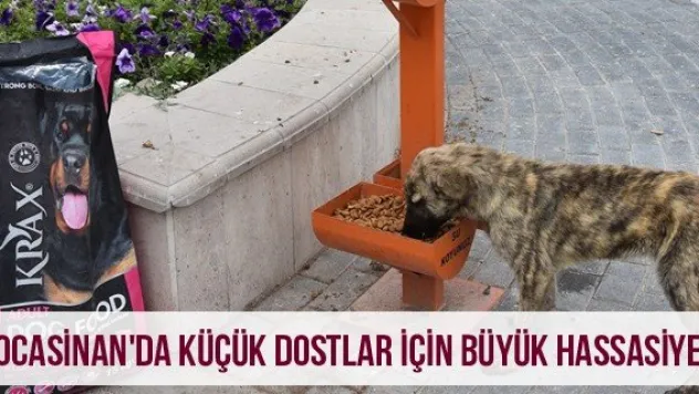 Kocasinan'da küçük dostlar için büyük hassasiyet