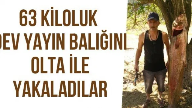 63 kiloluk dev yayın balığını olta ile yakaladılar