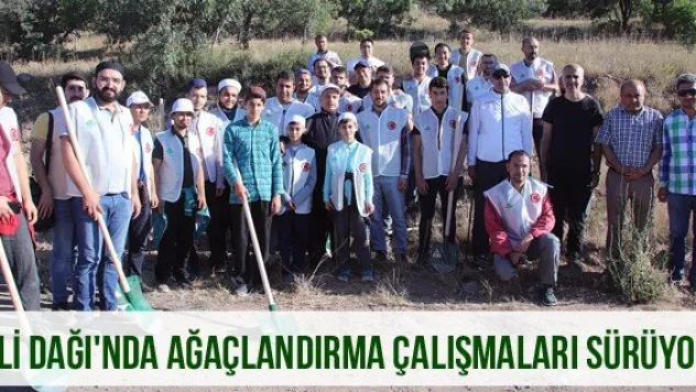 Ali Dağı'nda ağaçlandırma çalışmaları sürüyor